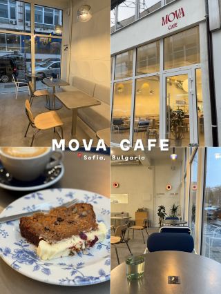 Rainy Morning Coffee Break Inside MOVA CAFE