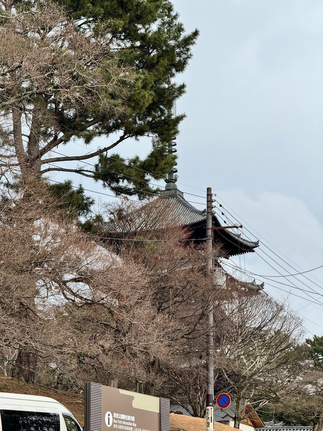 แจกแพลน โอซาก้า เที่ยวตามได้เลย