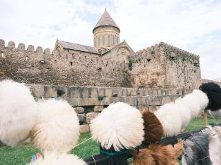 ⛪ Svetitskhoveli Cathedral