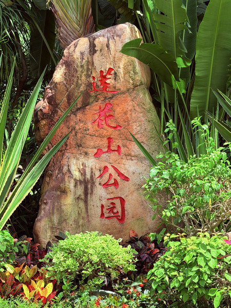 深センの蓮花山公園は、賑やかな都市の中にひっそりと佇む、数少