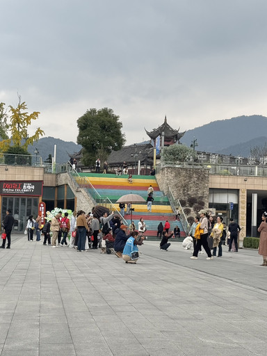 西街·杨柳河街盖碗茶 参考图 2