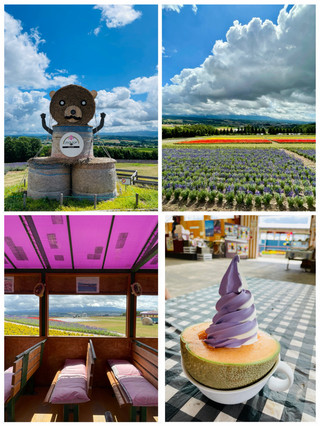 必收藏！夏日富良野＆札幌3日2夜行程推介。