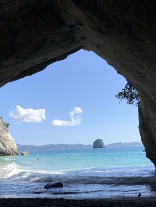 [뉴질랜드 북섬 렌터카 여행] Day 12–13: 환상적인 절경의 블루 스프링, 양털 마을, 그리고 캐시드럴 코브 조수 탐험.