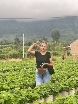 Menjelajahi Waratah punya pesona alam yang unik, tapi momen favorit saya adalah petik strawberry di Berastagi 🍓—pengalaman seru yang sangat layak direncanakan!