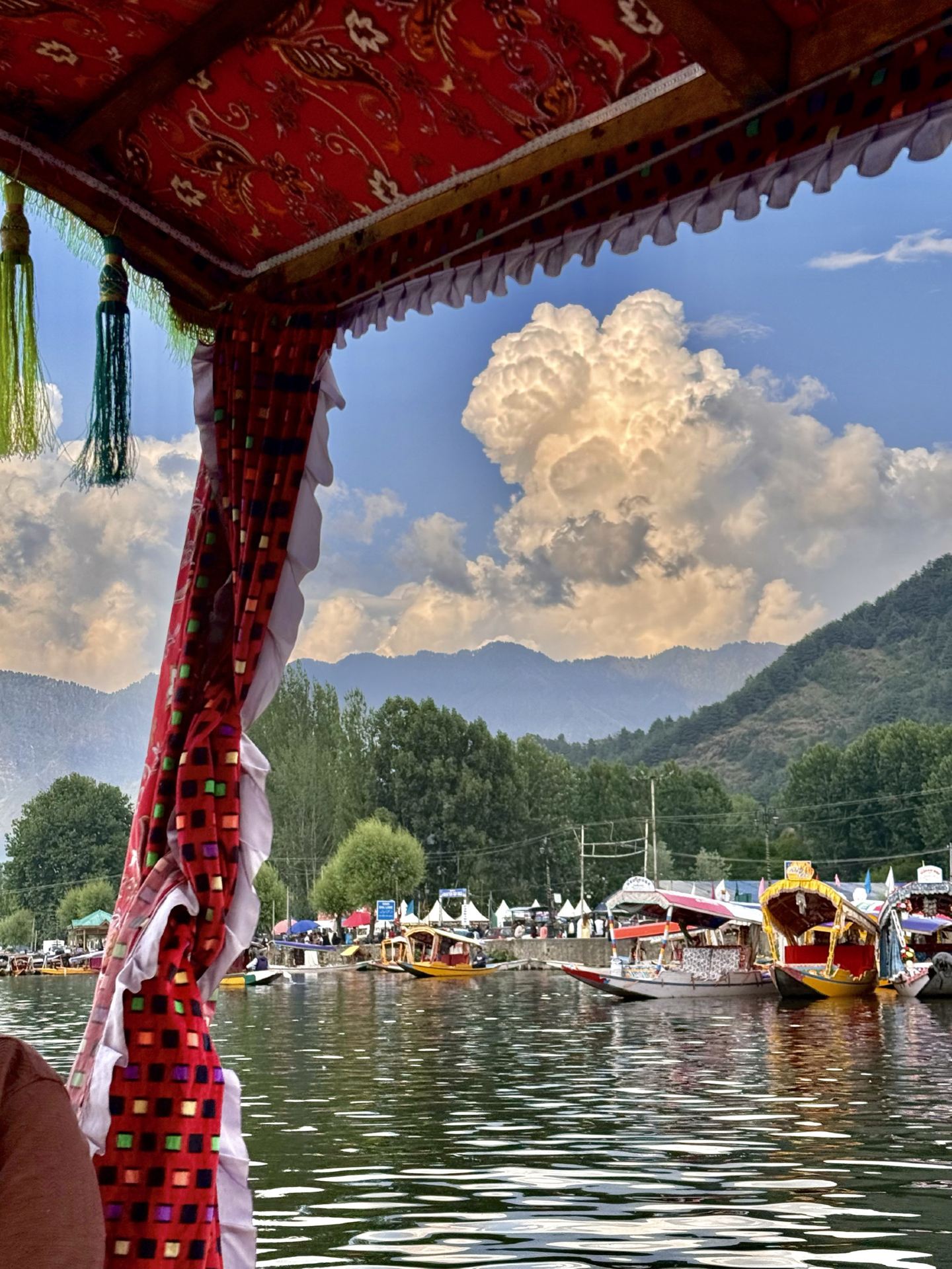 7 Days in the Valley: A Dreamy Kashmir Travel Wrap