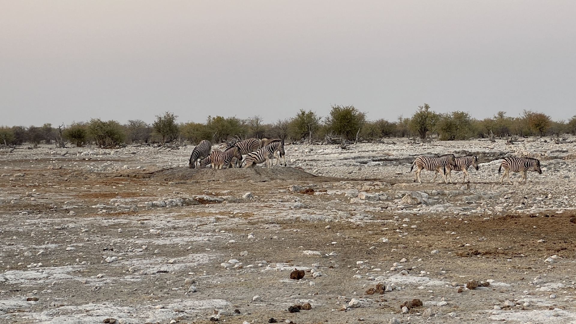 OKAUKUEJO | The Heart of Your Etosha Safari Experience.