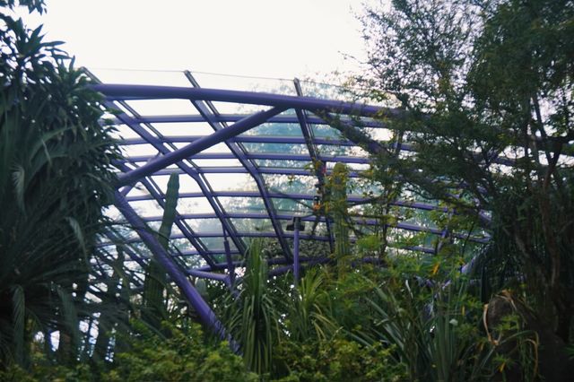 Exploring Singapore Beyond the Skyscrapers: My Sun Pavilion Experience