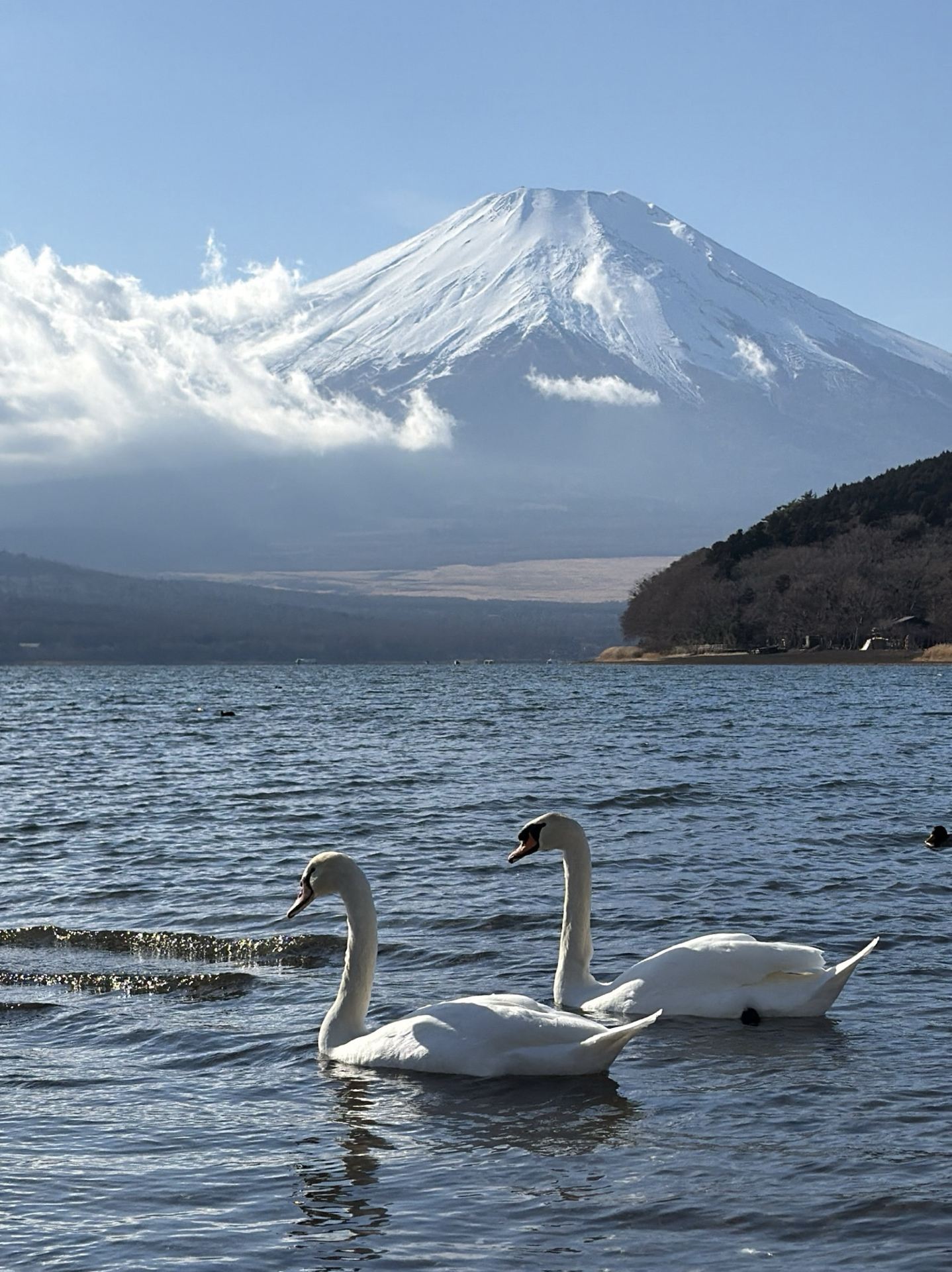 Lake Kawaguchiko, Japan