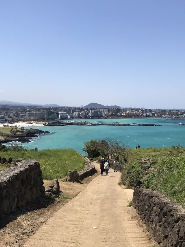 제주에서 행복만땅 충전! 서우봉⛰️🩵