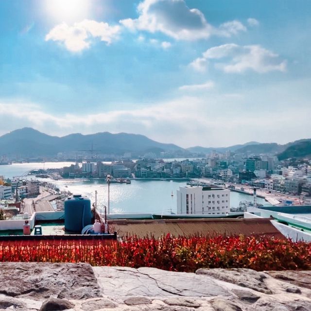 걸어서 통영여행! 🏃🏻‍♀️뚜벅이 여행자도 가능한 통영 시내 코스 추천
