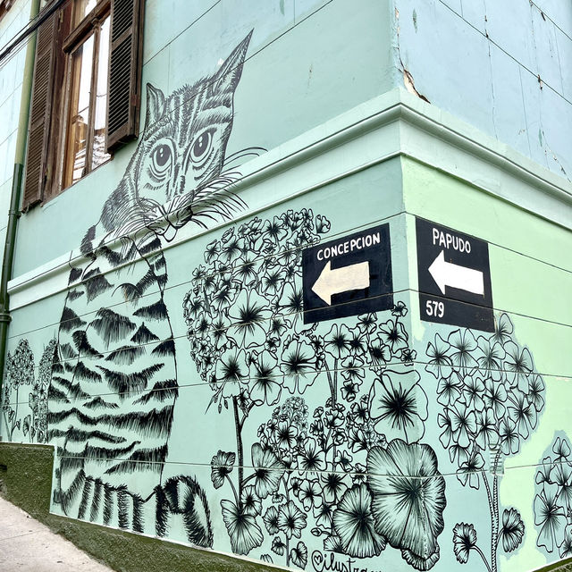 🌈 Explore the Vibrant City of Valparaíso, Chile! 🇨🇱✨