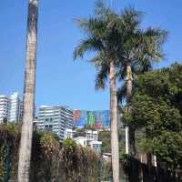 Visiting The Chinese University of Hong Kong