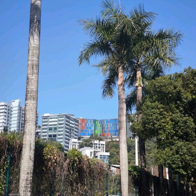 Visiting The Chinese University of Hong Kong