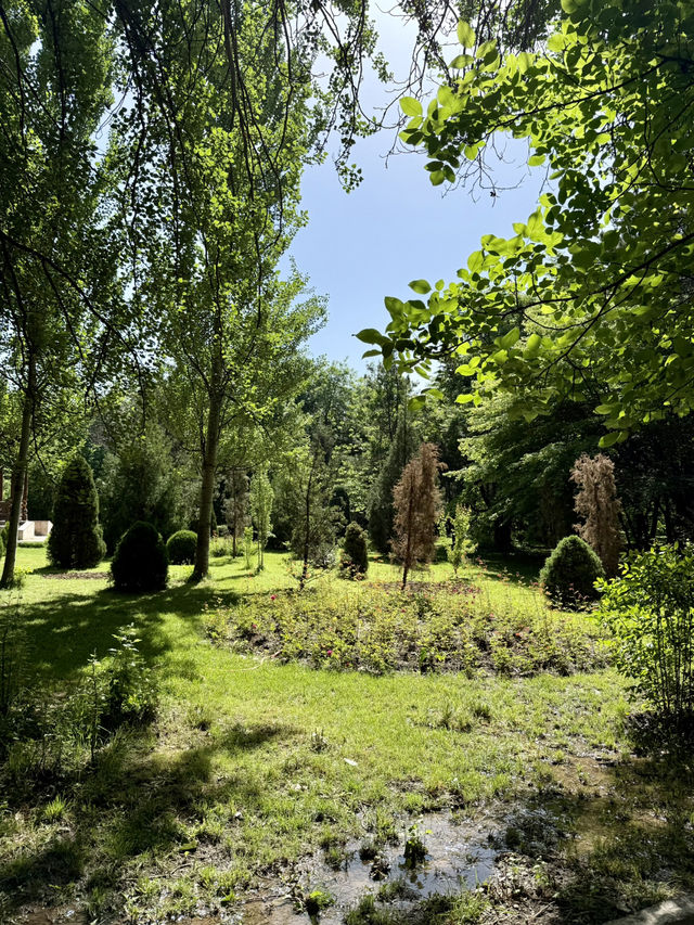 Spring Escape: Dushanbe’s Botanical Garden