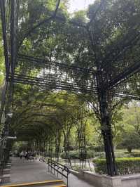 Fuxing Park, Shanghai