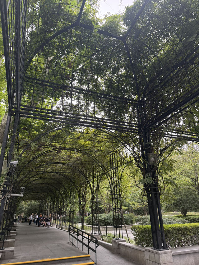 Fuxing Park, Shanghai