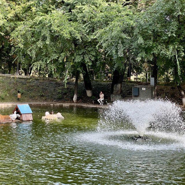 Tranquil Kiseleff Park Bliss