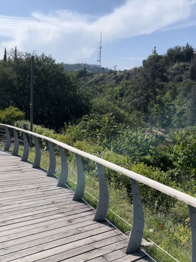 【ジョージア🇬🇪/自然豊かな巨大な植物園 】