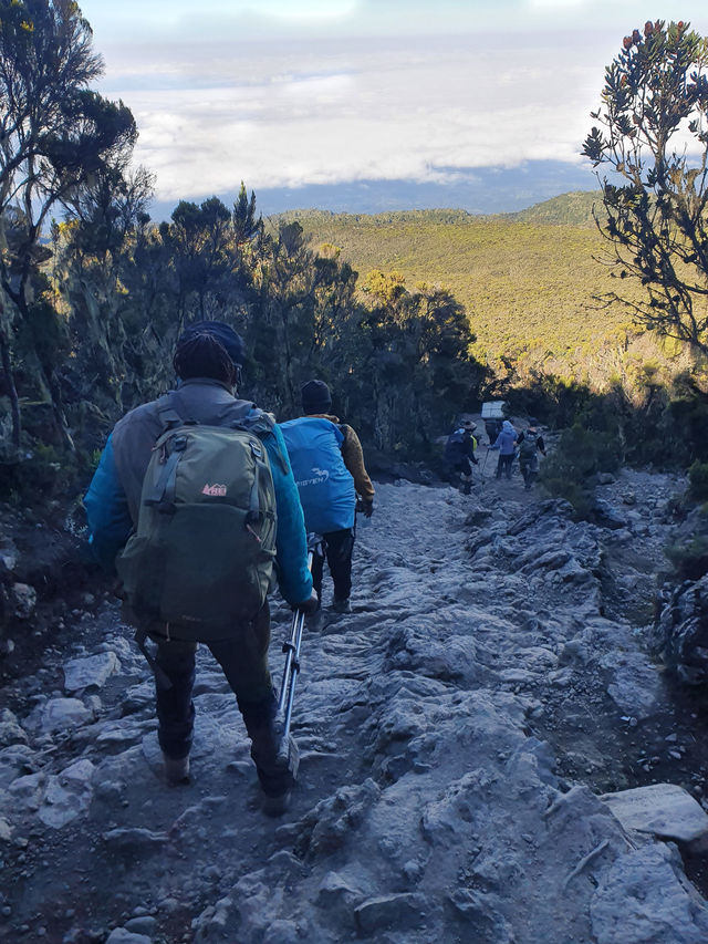 6 days Kilimanjaro Climbing Machame route