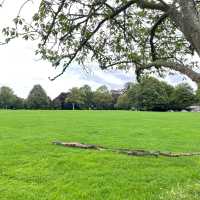 英國 Bath 巴斯 Royal Victoria Park