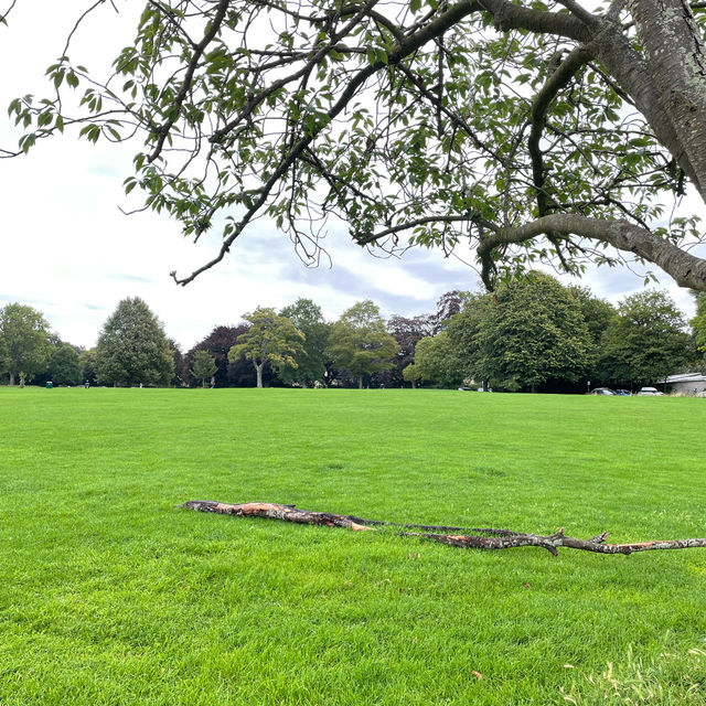 英國 Bath 巴斯 Royal Victoria Park