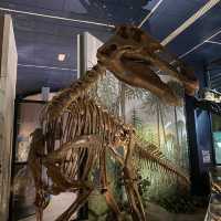 National Museum Cardiff