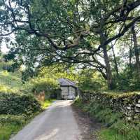 英國湖區 Lake District - Rydal Cave 湖邊洞穴