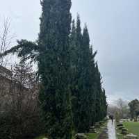 Roman Gardens in Chester 