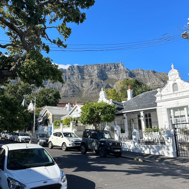 Cape Town adventures