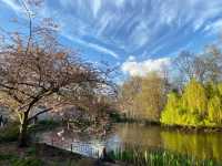 St. James's Park:A Tranquil Retreat in London