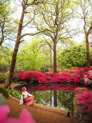 Isabella Plantation