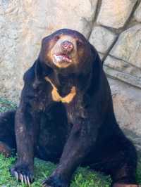 ZooTampa at Lowry Park 🇺🇸