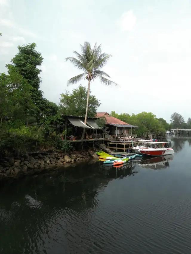 My stay at Mangrove Bungalow & Restaurant