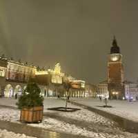 Krakow Square Horse and Carriage