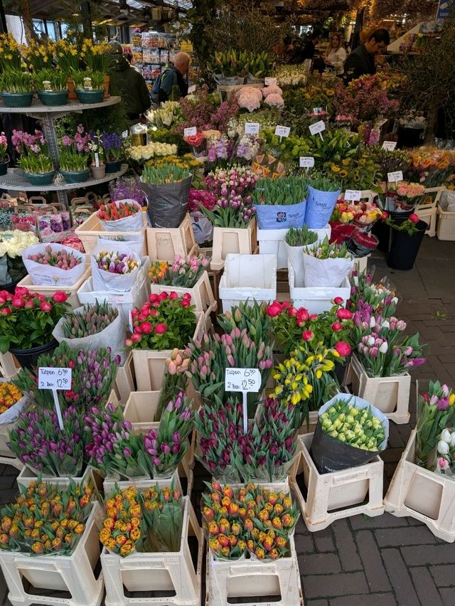 Amsterdam at Easter!