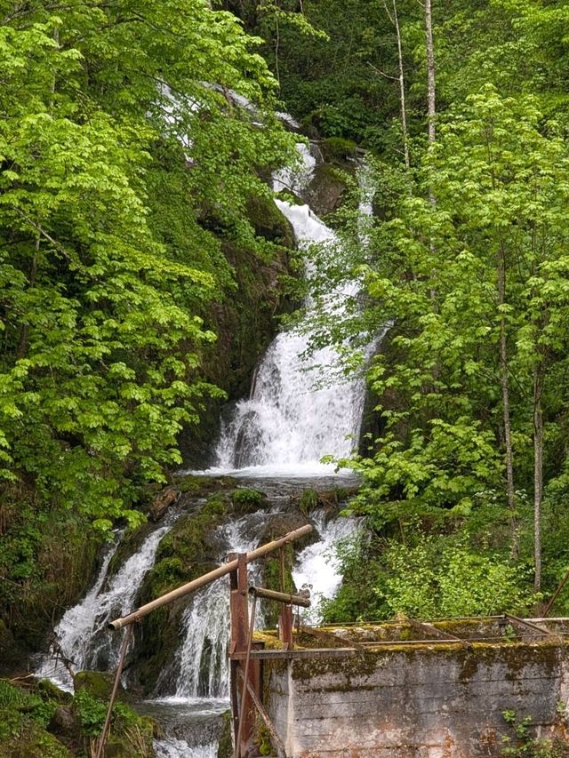 BEAUTIFUL COUNTRY