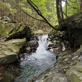 How to spend 2 days in Dorogawa onsen