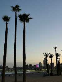 Sights and sounds of Benidorm and Alicante