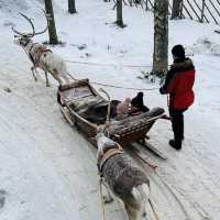 🇫🇮Finland 6-Day Itinerary