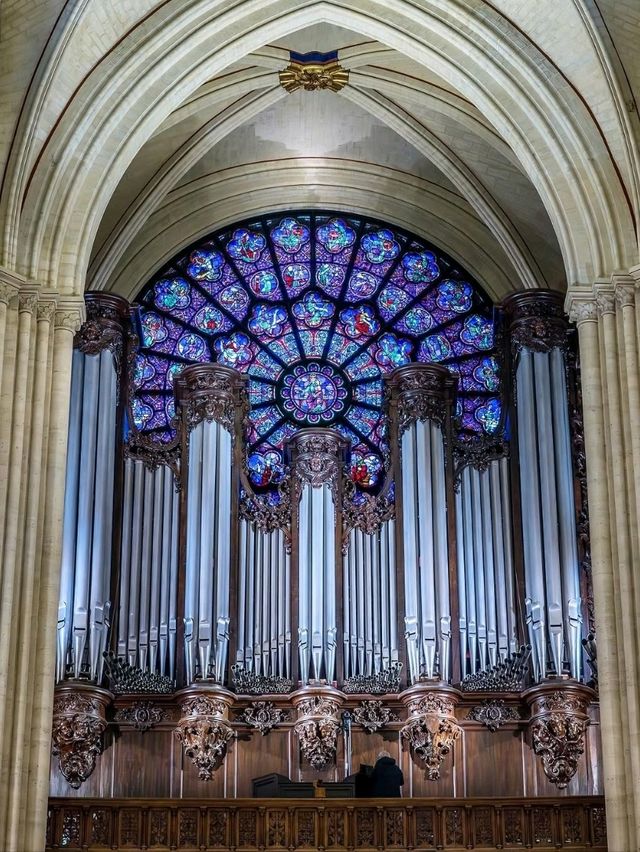 ⛪️ Notre-Dame de Paris: The Soul of Gothic Splendor on the Seine 🕯🇫🇷