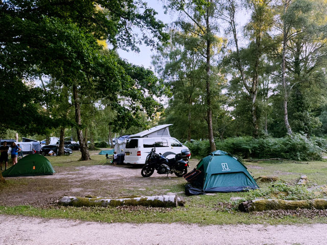 Into the Wild: A Day Trip from Southampton to the New Forest