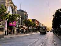 Golden Gates & Hidden Lanes: Exploring San Francisco Like a Local