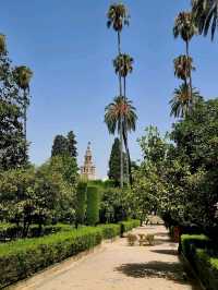 Sevilla❤️