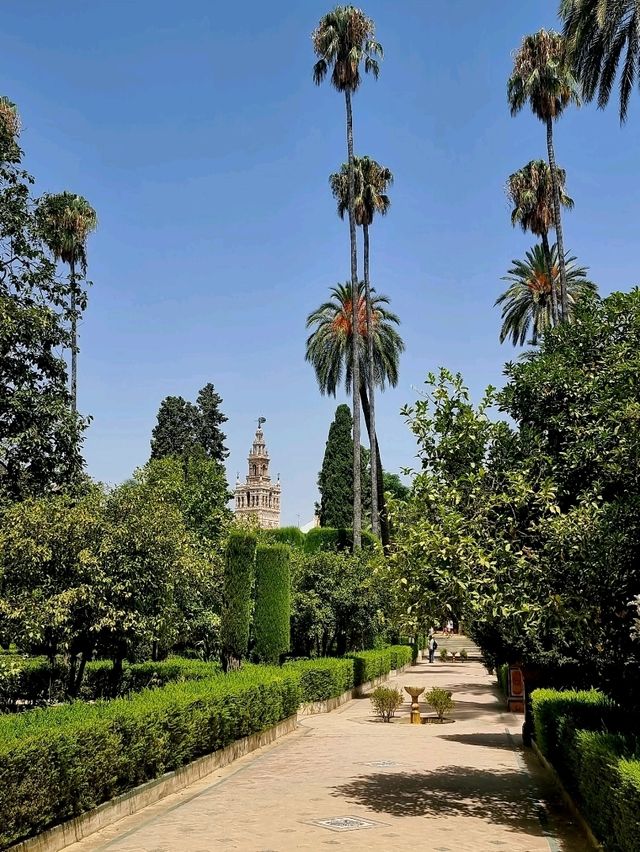 Sevilla❤️