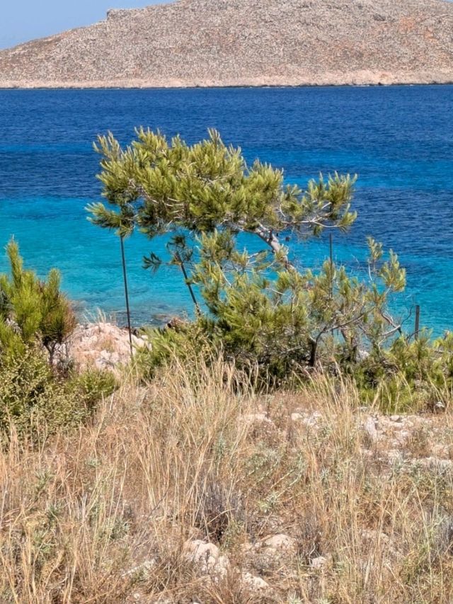 Halki. a hidden gem in the dodecanese