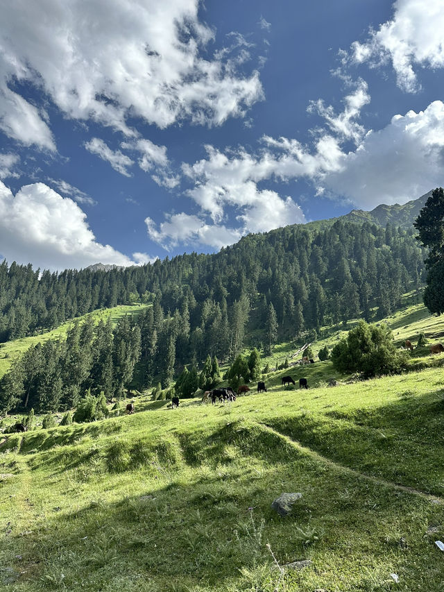 No, This Isn’t Switzerland… It’s Hunza, Pakistan. Can You Believe It?