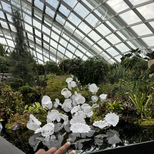 Leaf It to Singapore to Amaze Me 🌿