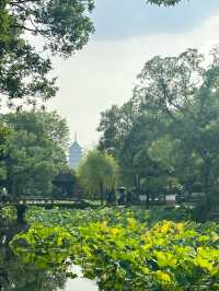 A Stroll Through Serenity: Exploring Suzhou’s Humble Administrator’s Garden
