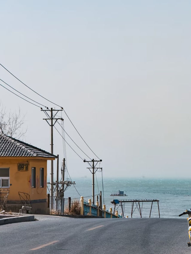 A Day in Lüshun: History, Nature, and Surprises by the Sea