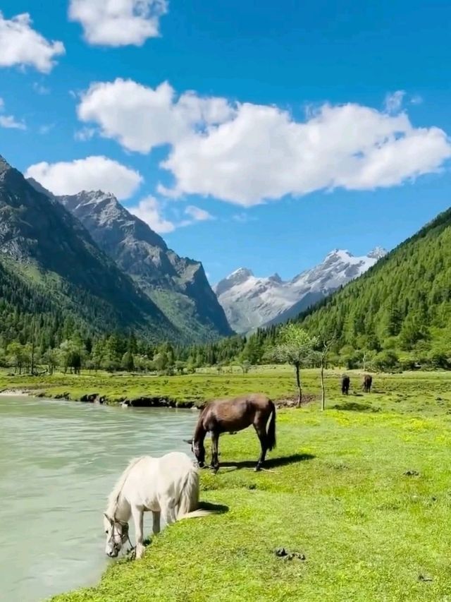 ⛰️ Mount Siguniang National Park – The “Alps of the East” in Sichuan’s Highlands